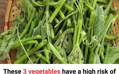 🥦 3 Vegetables That Support Cancer Prevention — Backed by Science