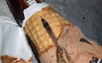 Daughter Found Something Terrifying Inside Her Chocolate Ice Cream What We Discovered Left Us Shocked